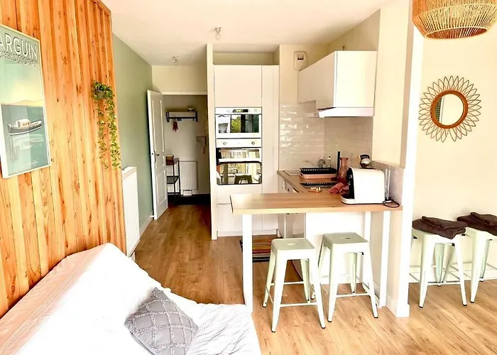 Joli Studio, Bassin D'arcachon, Parking Prive, Balcon *